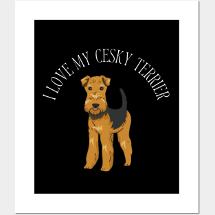 I love my Cesky Terrier Life is better with my dogs Dogs I love all the dogs Posters and Art